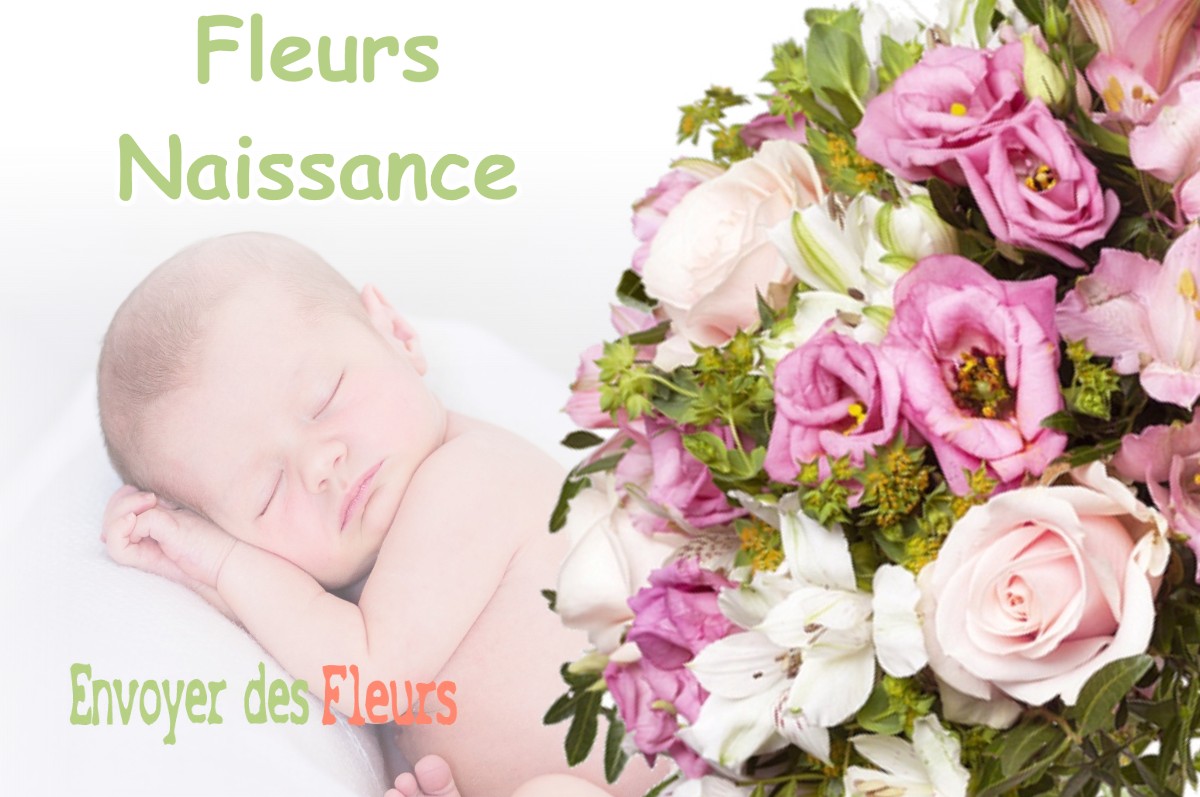 lIVRAISON FLEURS NAISSANCE à MONTEGUT-LAURAGAIS